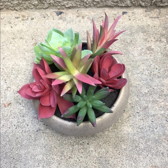 🏠 Artificial Succulent Plants - Picture 4 of 5